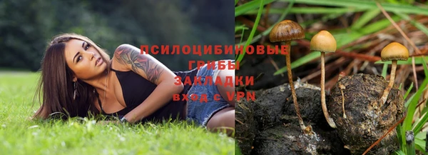 амфетамин Белокуриха