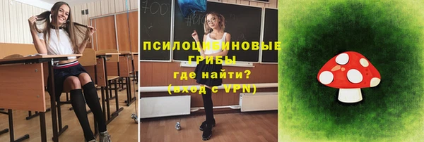 мдпв Саяногорск